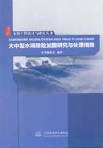 水利工程设计与研究丛书 大中型水闸除险